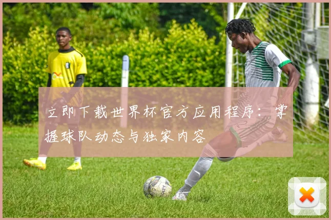 立即下载世界杯官方应用程序:掌握球队动态与独家内容