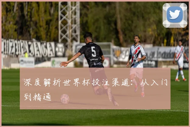 深度解析世界杯投注渠道：从入门到精通