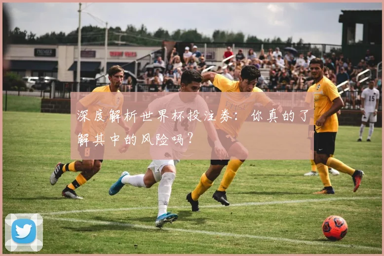 深度解析世界杯投注券：你真的了解其中的风险吗？