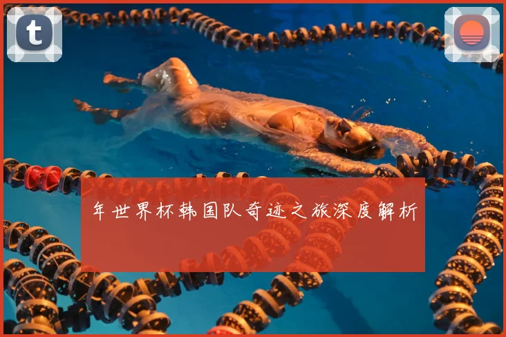 年世界杯韩国队奇迹之旅深度解析